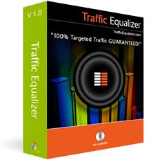 Traffic Equalizer - targeted web site traffic - guaranteed!